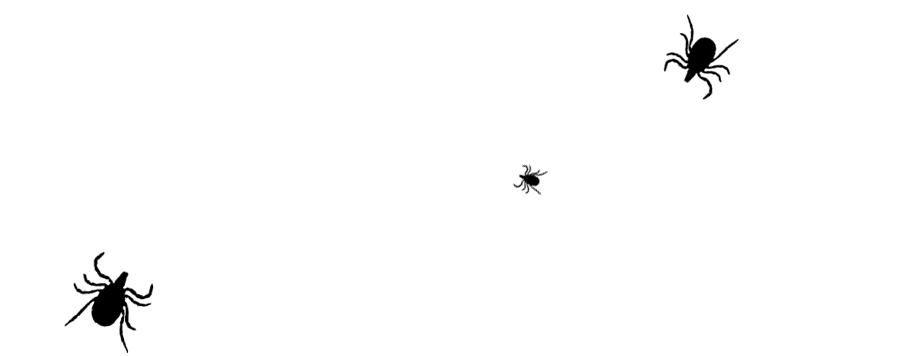 tiny-bite-tm Tiny Bite Huge Problem
